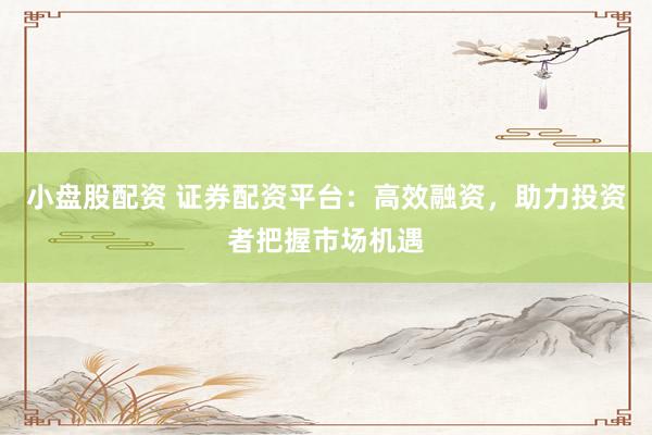 小盘股配资 证券配资平台：高效融资，助力投资者把握市场机遇