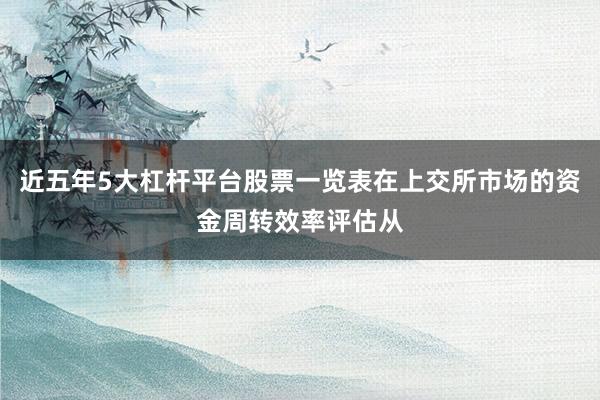 近五年5大杠杆平台股票一览表在上交所市场的资金周转效率评估从