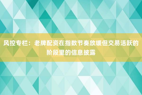 风控专栏：老牌配资在指数节奏放缓但交易活跃的阶段里的信息披露